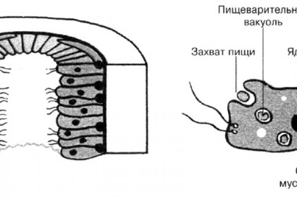 Не могу зайти на сайт кракен