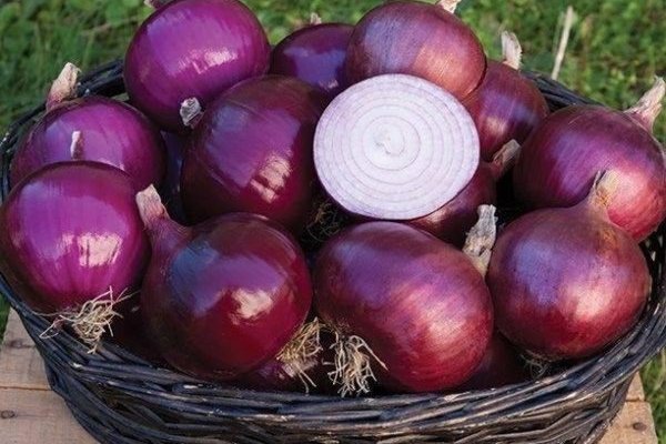 Кракен онион ссылка на тор